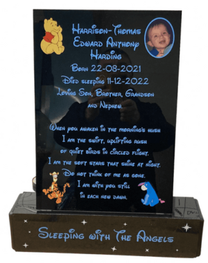 034. Plaque On A Plinth Disney Harrison 31089 P